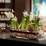 Mercure Vanagupe & Viešbutis 5*
